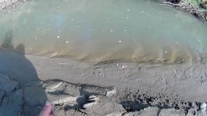 рыбалка 2022.ловим усача.Fishing