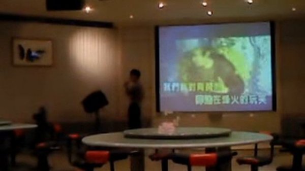 唱歌 陳國新 背對背擁抱