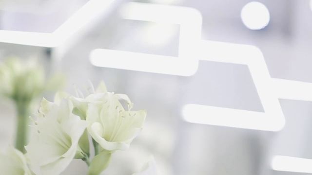 СВАДЬБА ВИТАЛИЯ ГОГУНСКОГО И ИРИНЫ МАИРКО смотреть онлайн