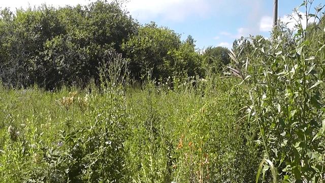 Дела месяца. Июль. смотреть онлайн