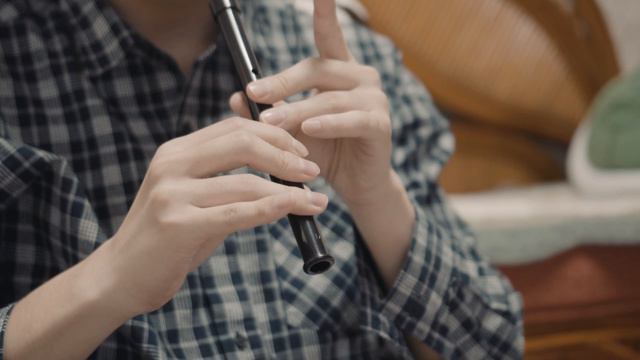 Lord of the Rings - The Concerning Hobbits (The Shire theme) Irish Whistle смотреть онлайн