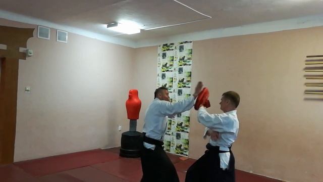 Aikido how effective to strike shomen uchi? смотреть онлайн