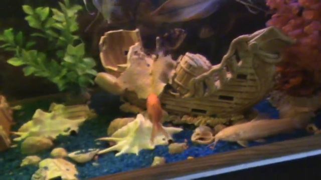 Республика Адыгея. Село Преображенское. (12 июня 2017 г.) смотреть онлайн