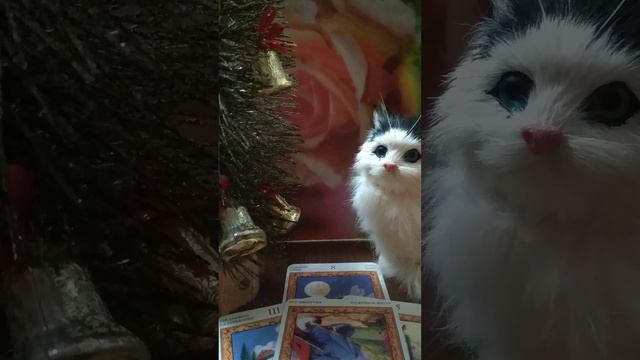 Что будет делать дальше??? 🍀🍵⏳👍📱 смотреть онлайн