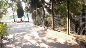 Ялта Кемпинг Рипарио