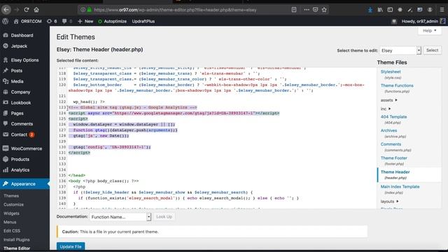 18 Integrate Google Analytics / Facebook Pixel / Tawk.to in Wordpress website смотреть онлайн