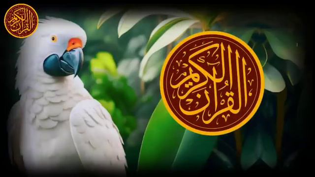 утренний дуа. дуа каждое утро смотреть онлайн