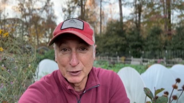 Before and After the First Heavy Frost | How Different Crops React смотреть онлайн