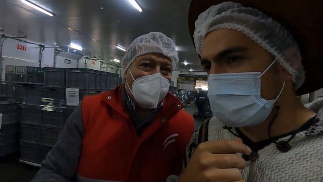 Nos dejaron entrar a CORPORACIÓN FAVORITA | Dueña de SUPERMAXI смотреть онлайн