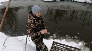 КАК ПОЙМАТЬ ДИКИХ УТОК/ЛОВУШКА НА УТОК