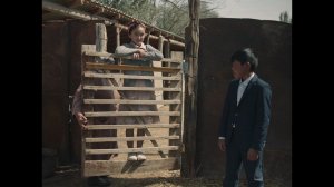 Весна молодости / Spring of Youth