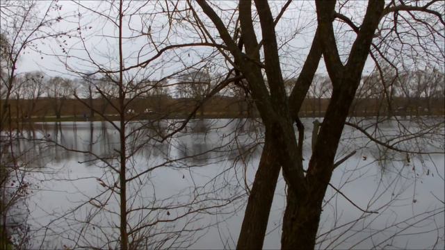 Карась в ноябре.Ночная рыбалка на херабуну.01-02.11.2013 смотреть онлайн