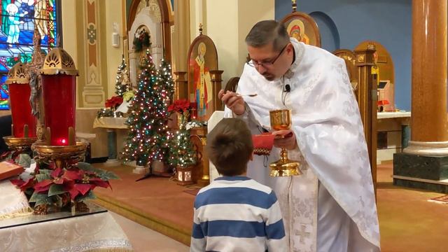Receiving the Eucharist in the Byzantine Catholic Church смотреть онлайн