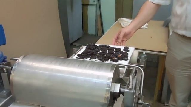 ЧерносливВС060 смотреть онлайн