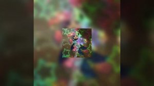 песня doktorspiele