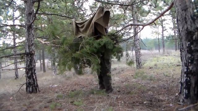 Как соорудить гамак из веток сосны или ели смотреть онлайн