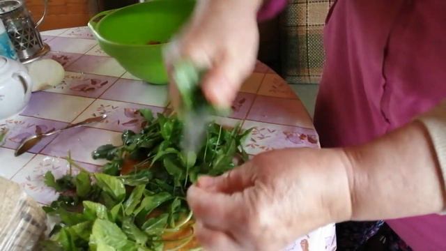 СЕКРЕТ ДОЛГОЛЕТИЯ. ЧЕМ ПИТАТЬСЯ, ЧТОБЫ НЕ СТАРЕТЬ. Готовимся к зиме. смотреть онлайн
