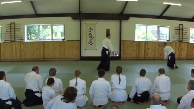 29 Ёкомэнути ириминаге