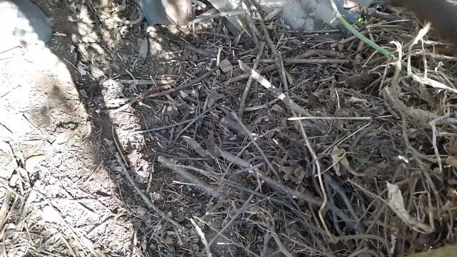 Влог + Строю калитку в заборе