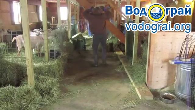 биопрепарат Водограй Чистый Хлев смотреть онлайн