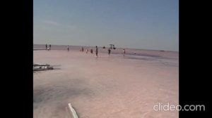 Бурлинское озеро.Алтайский край