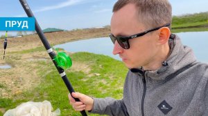Пруду 6 месяцев, готовлюсь к первой рыбалке, планы по благоустройству