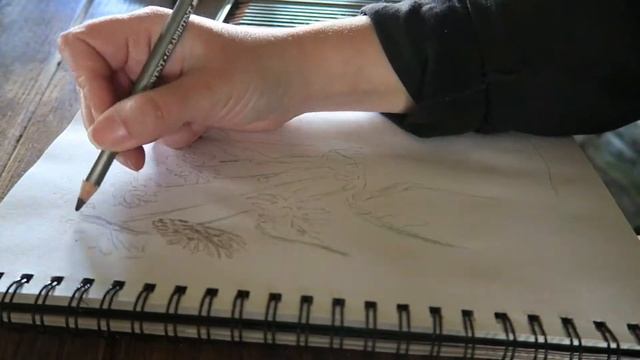 Derwent art supplies haul & 1st impressions - inktense, tinted charcoal, artbars, tinted graphite смотреть онлайн