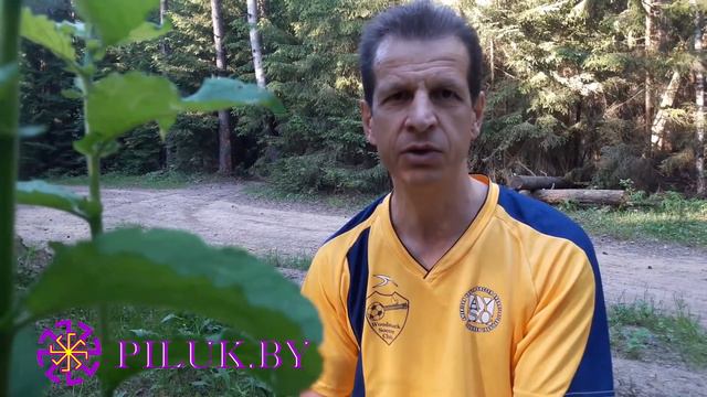 Стакан воды на старости лет смотреть онлайн