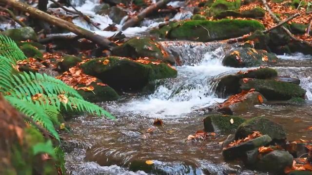 Deep Focus Music To Improve Concentration - 12 Hours Of Ambient Study Music To Concentrate