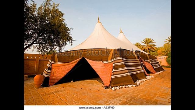 sheikh zayed palace museum al ain UAE смотреть онлайн