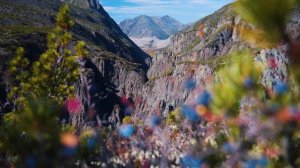 «Удоканская медь»:  уникальный проект на севере Забайкалья