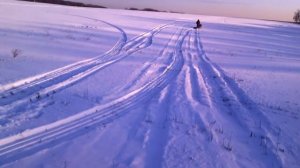 Мотособака.