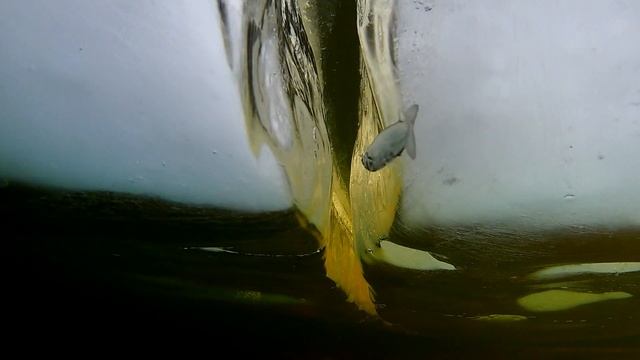 Eken H9R тест под водой