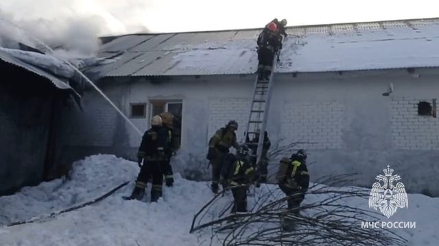 1300 квадратных метров пожара пришлось ликвидировать сегодня сотрудникам МЧС в Судогодском районе смотреть онлайн