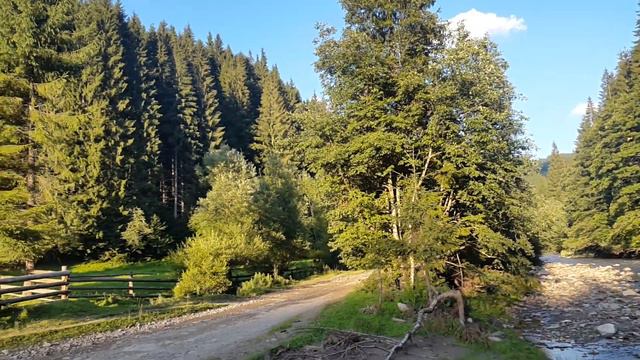 Река Белая Тиса в р-не села Луги смотреть онлайн