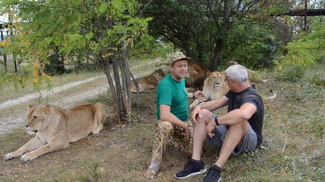 Интервью В ОКРУЖЕНИИ ПРАЙДА ЛЬВОВ! Александр Лебедев и Олег Зубков. смотреть онлайн