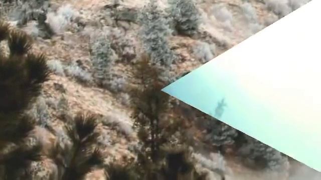 Цветы для любимой...??? Красивая музыка смотреть онлайн