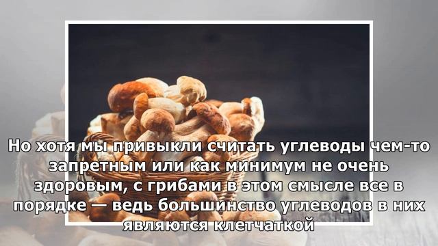 Грибная грамота: в чем на самом деле состоит польза грибов для здоровья