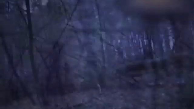 Избавление от бесов. - Программа В Фокусе. смотреть онлайн