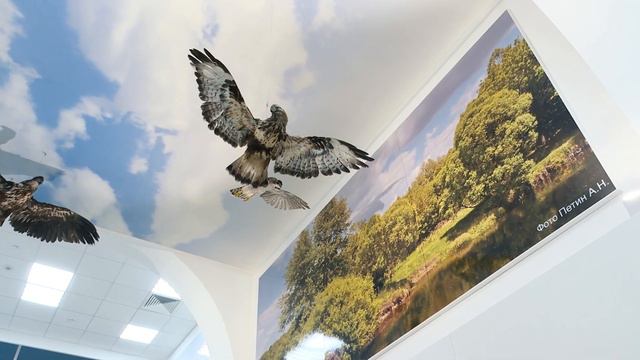 Экспозиционно-выставочный центр «Природа Белогорья» смотреть онлайн