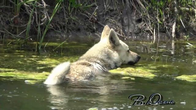 Рыбалка в Каратаево смотреть онлайн