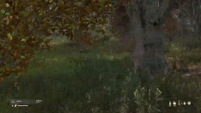 DayZ. Сервер WFR DayZ. жиррр смотреть онлайн