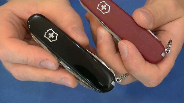Ножи Victorinox Ecoline обзор линейки, плюсы-минусы, список моделей. смотреть онлайн