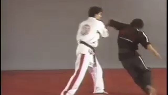 Hapkido Outside Grabs By Fariborz Azhakh