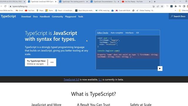 TypeScript Tutorial Teaser #typescript #typescripttutorial смотреть онлайн