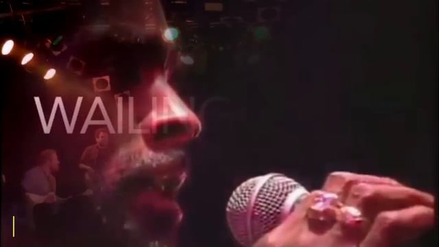 DJ PINK x DJ DADISO - SPLASH ROOTS VOL.2 [ REGGAE VIDEO MIX ] ISRAEL VIBRATION | PETER TOSH | UB40 смотреть онлайн