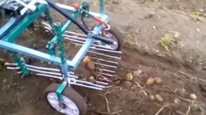 Копка картофеля модернизированной копалкой на Торпане часть 1