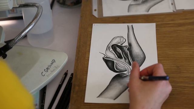 Пересечение науки и искусства смотреть онлайн