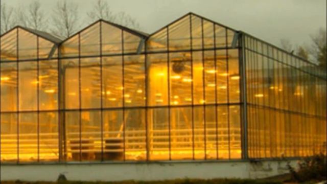 Освещение в теплице для огурцов смотреть онлайн