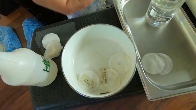 Seed bank test Kakadu Seeds смотреть онлайн